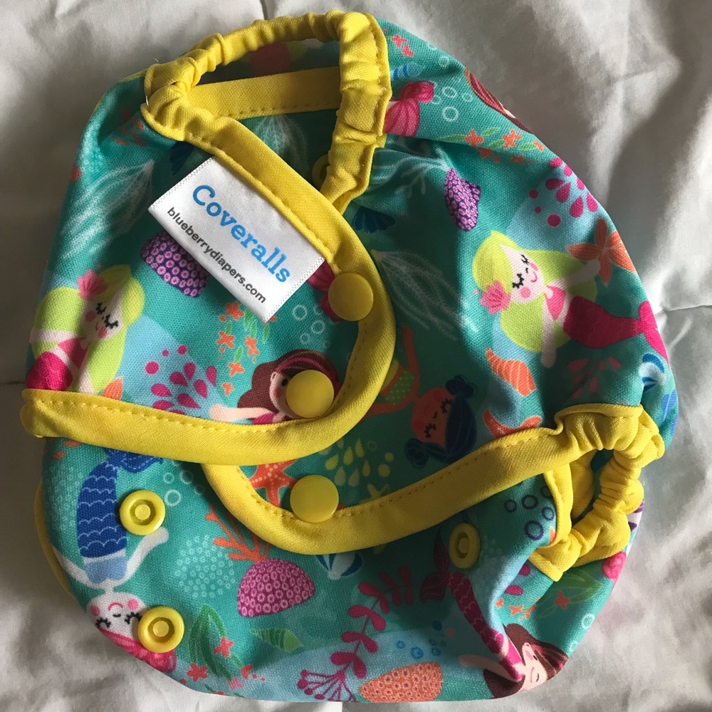 Blueberry Cloth Diaper: Covers